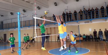 Мініатюра