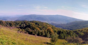 Мініатюра