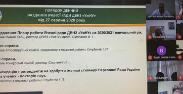 Мініатюра