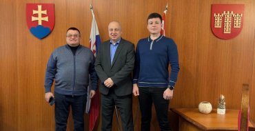 Мініатюра