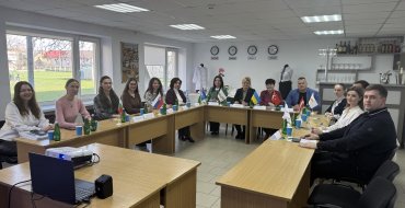 Мініатюра