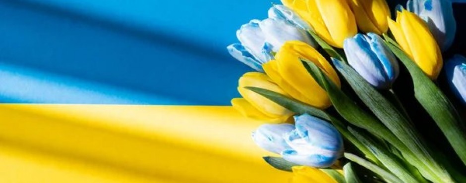 Банер до новини