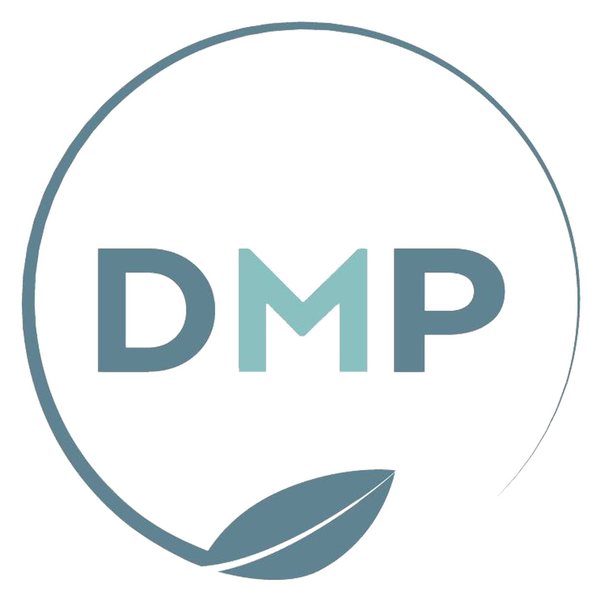 DMP GROUP