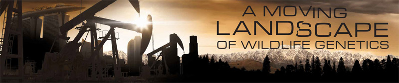 Event banner